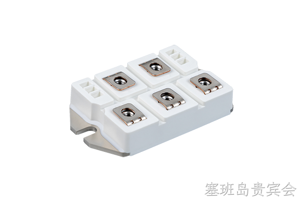 塞班岛贵宾会 Rectifier Bridge Module
