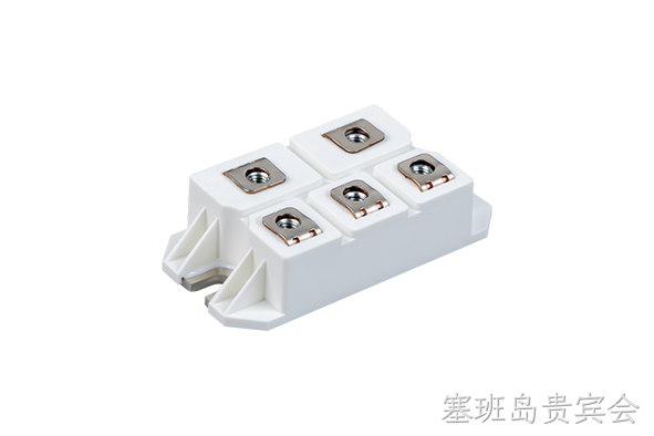 塞班岛贵宾会 Rectifier Bridge Module